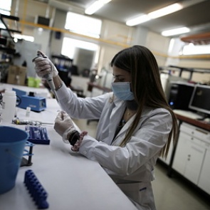 Биолог оценила эффективность антител к коронавирусу против нового штамма