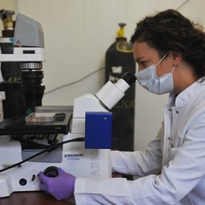 Биолог назвал способ остановить мутации коронавируса