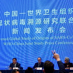 США выразили беспокойство в связи с выводами ВОЗ о происхождении коронавируса