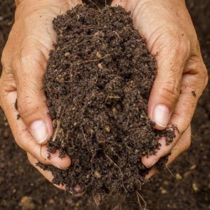 Подготовка почвы к посадке в саду и в огороде