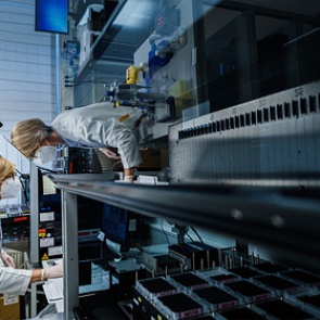 Появился гибридный штамм коронавируса