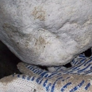 Почему нас не лечат красноярскими антибиотиками, открытыми еще 5 лет назад, — объясняет ученый