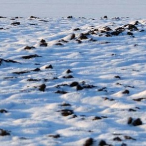 Как использовать законы физики для увеличения урожаев