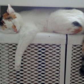 Куда обращаться горожанам, если до сих пор остаются вопросы с теплоснабжением