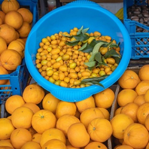 Диетолог назвала россиянам правильный способ есть апельсины