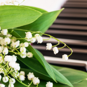 План культурных и спортивных мероприятий на праздничные выходные