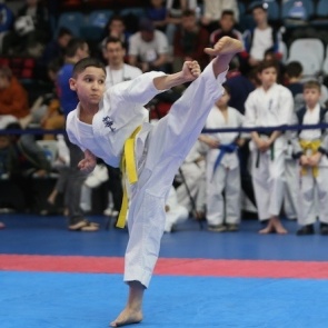 Красноярские каратисты завоевали четыре медали на первенстве России по кекусинкай