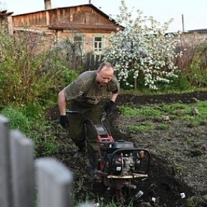 Врач назвал дачникам главное правило при работе в жару