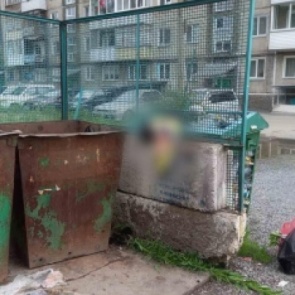 В Ачинске нашли мертвого младенца