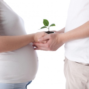 Может ли коронавирус вызывать бесплодие