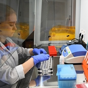 Минздрав оценил влияние нового штамма коронавируса на точность российских тестов