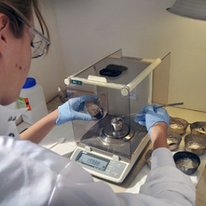 Европа решила стать независимой от Китая