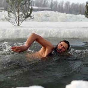 Выяснено влияние холода на метаболизм «моржей»