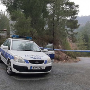 Тела двух российских туристок нашли закопанными в саду на Кипре