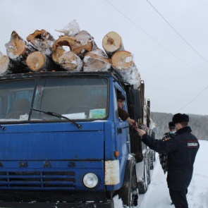 Полицейские Ачинска контролируют сохранность лесного фонда