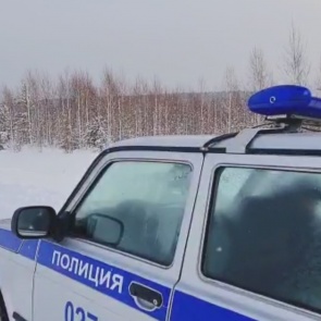 Сотрудники полиции Ачинска осуществляют мероприятия по пресечению незаконной рубки леса