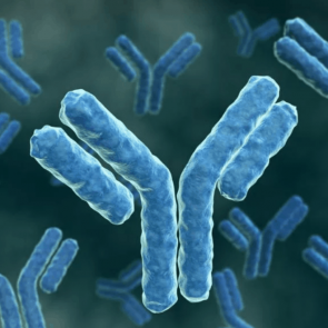 В России пока не готовы выдавать QR-коды людям с высокими антителами