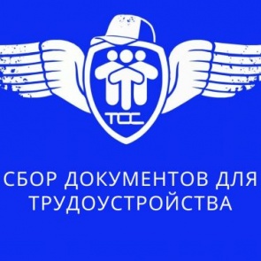 В Ачинске стартует набор в трудовые отряды старшеклассников