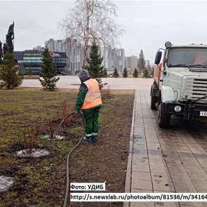 В Красноярске начали поливать высаженные в прошлом году деревья