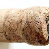 Регулярное употребление шампанского может улучшить память