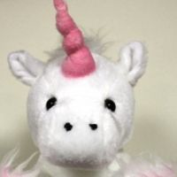 Девочка пересекла границу Турции по паспорту единорога